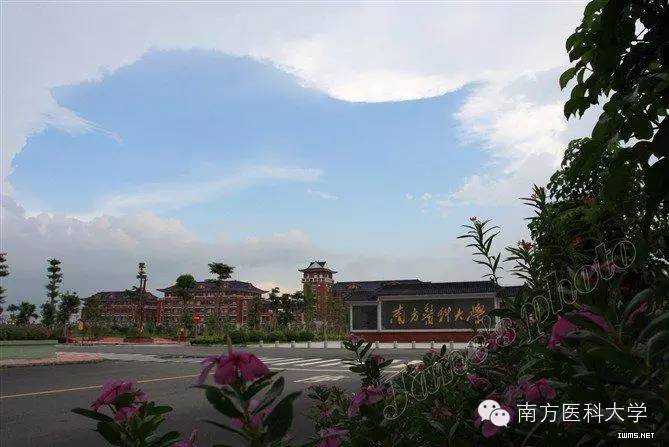 希望小学 第452页