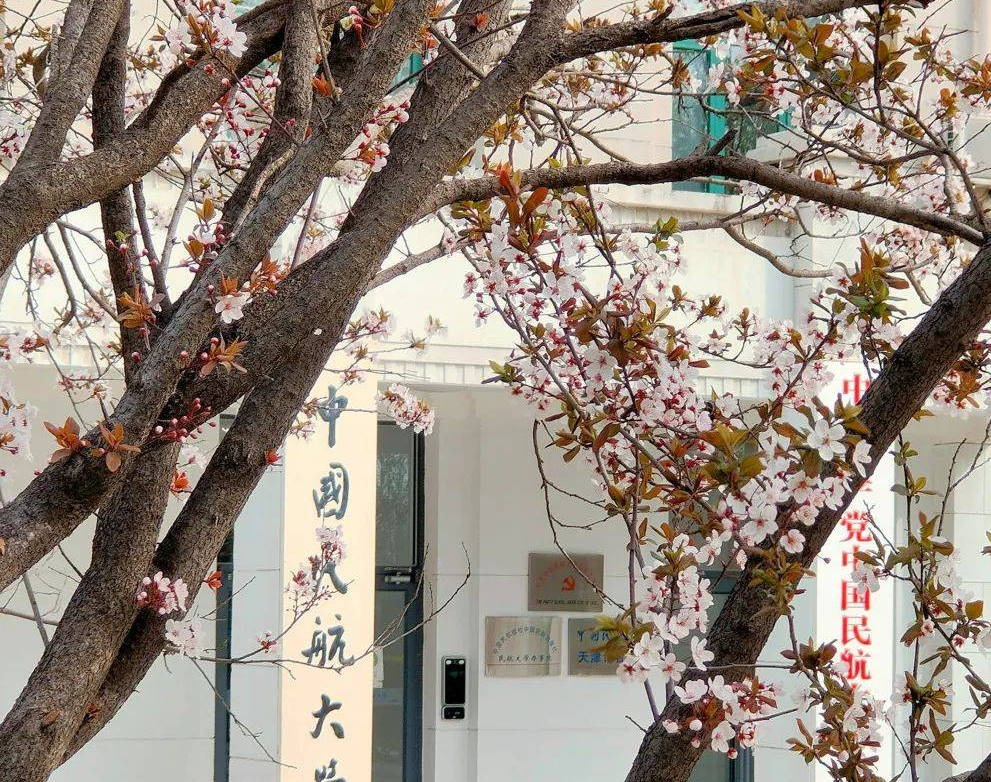 2022年中国民航大学录取分数线深度解析