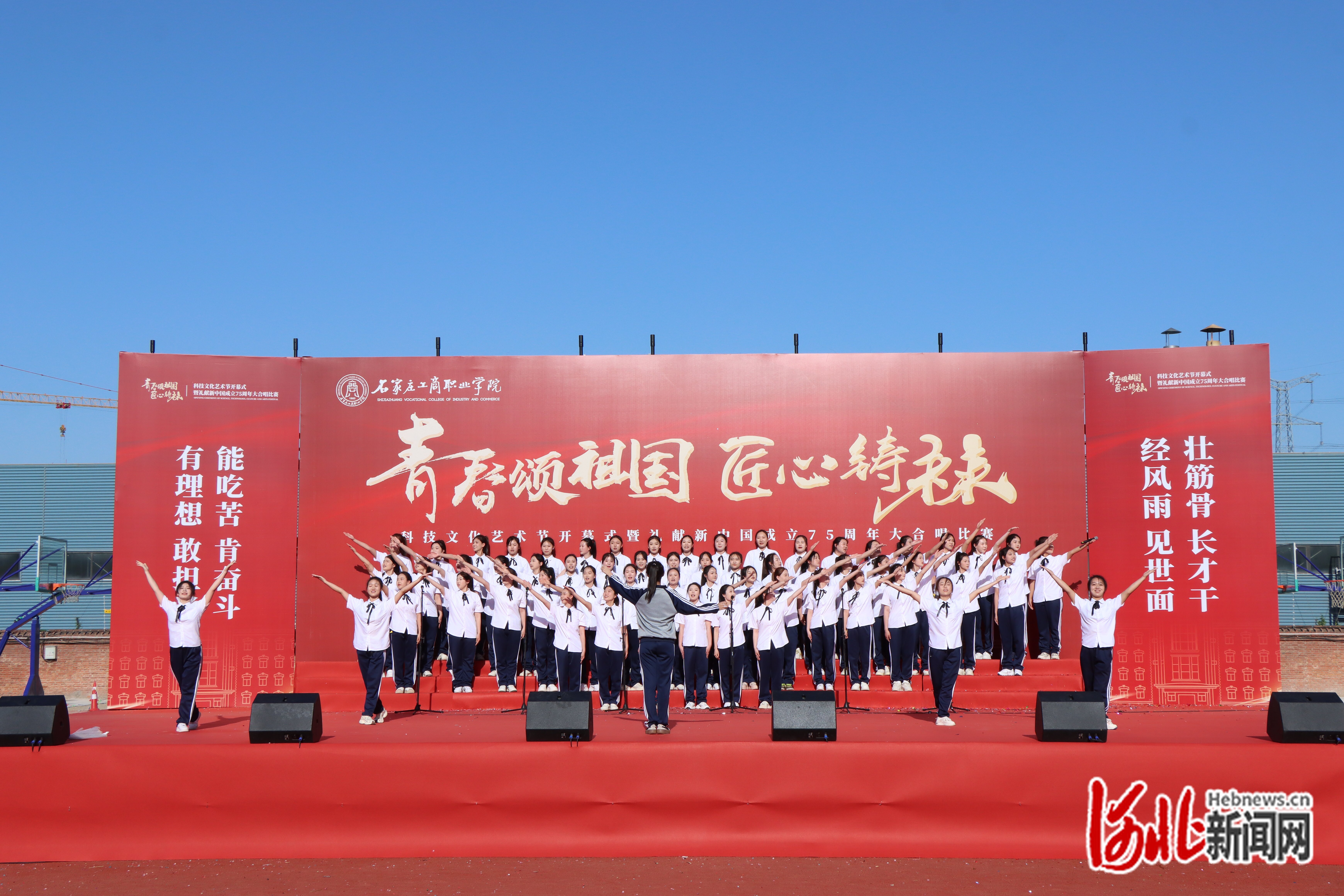 希望小学 第446页