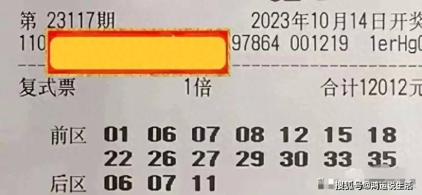 澳门新开奖记录，2025年今日开奖结果汇总与图片分析