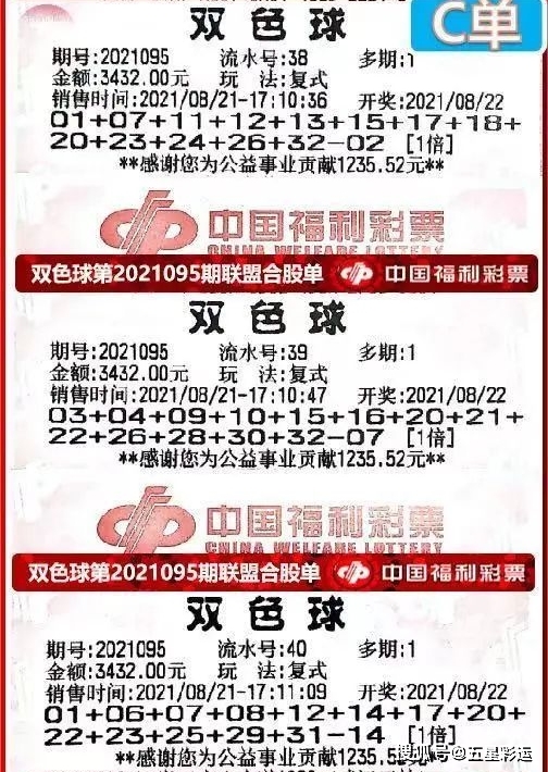 揭秘黄大仙六肖中特，期期的精准资料与真相黄大仙精准资料六肖果