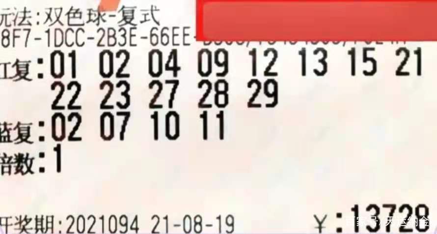 幸运数字 第16页