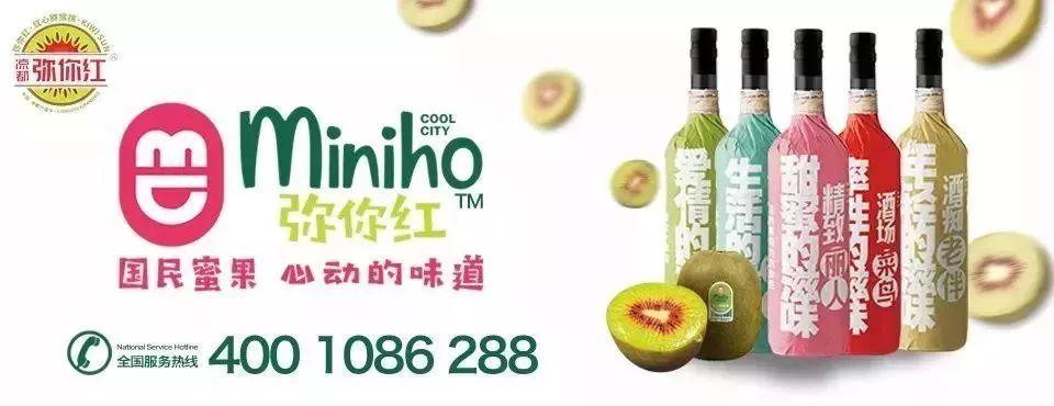 今日百度双色球开奖结果揭晓，梦想与幸运的碰撞