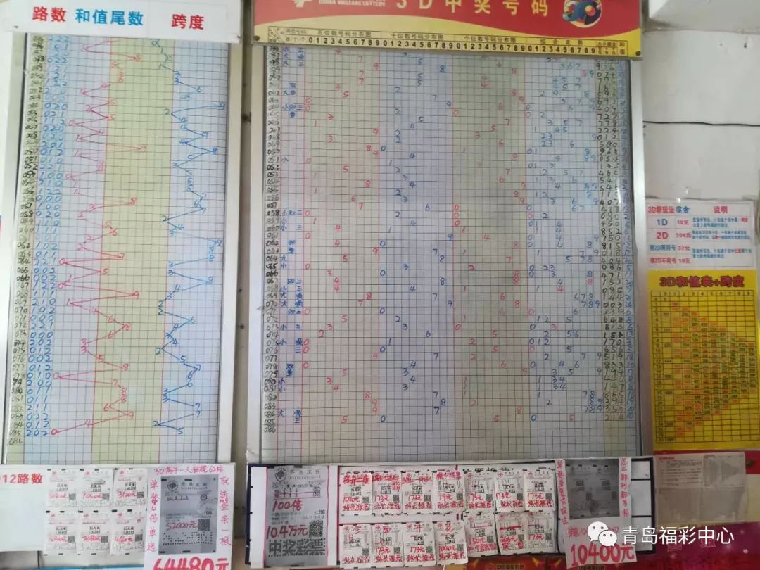 今期香港开奖结果记录，透视彩票文化与公众生活的微妙交织今期香港开奖结果记录如何查询