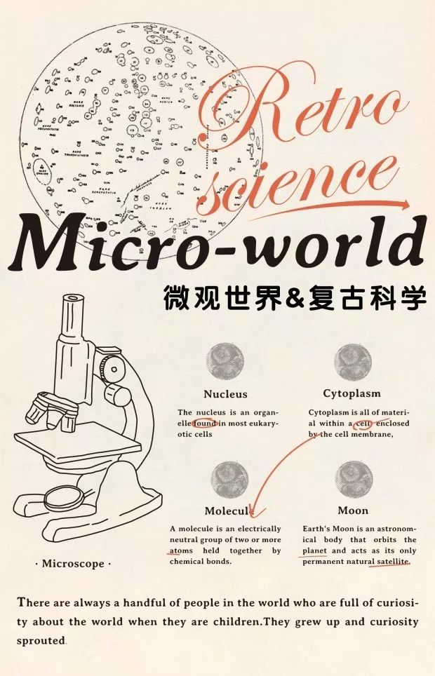 精华布衣