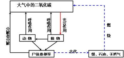 动物总动员的走势图，生态平衡的微观视角