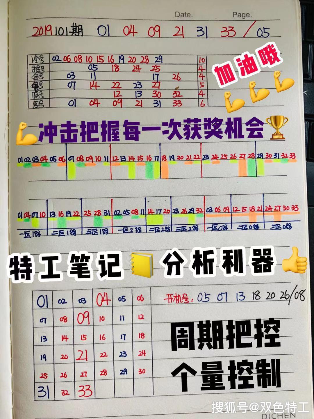 探索双色球开奖号码的30期走势，数据背后的秘密