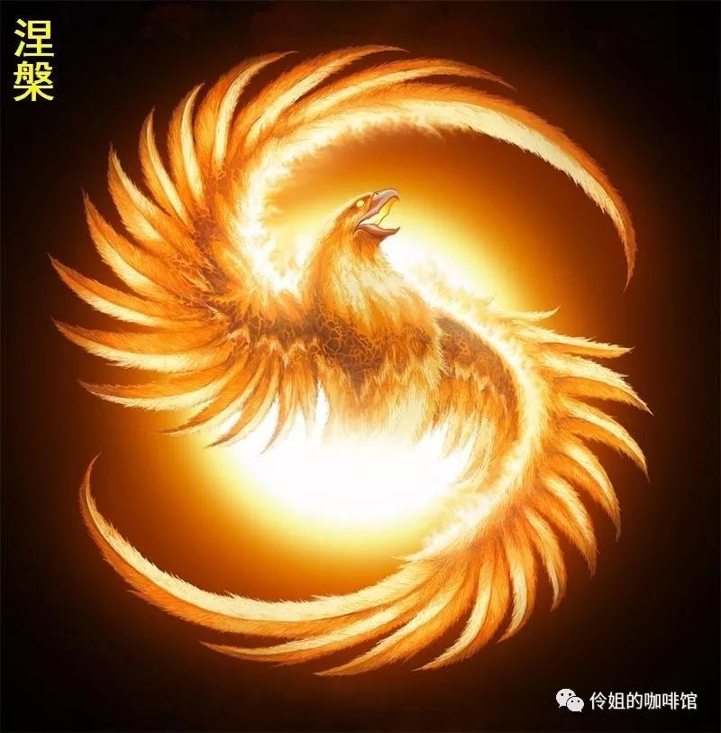 爱心工程 第232页