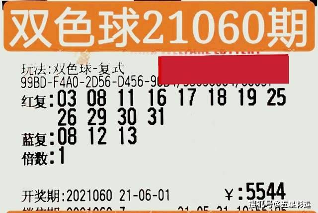 赛马的魅力与策略