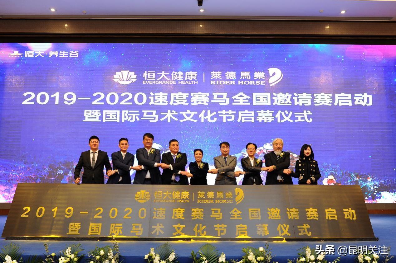 蓝月亮马会精选资料大全，解锁赛马的智慧与魅力蓝月亮马会最全资料大全
