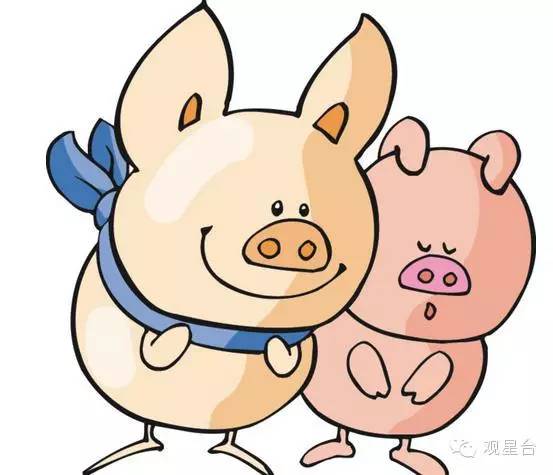 回顾与反思