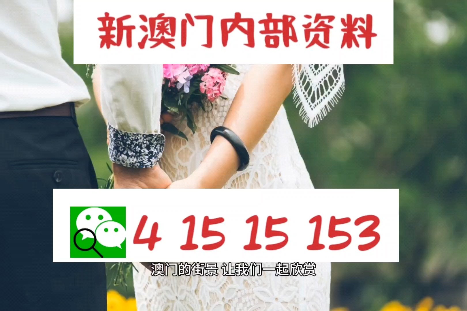 2049，新澳门免费资料的前瞻与探索2025年澳门正版免费大全