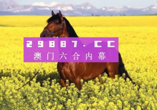 澳门2036年未来展望，探索正版开奖结果与科技创新的融合2023澳门正版开奖结果今天开的什么