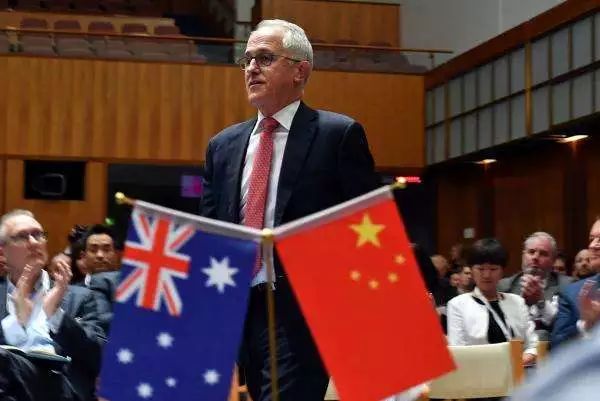 揭秘新澳2046今晚开奖资料，理性与娱乐的平衡新澳2024今晚开奖资料四不像
