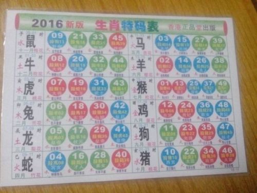 2048年，澳彩今晚的神秘数字与未来预测澳门202期今什么生肖