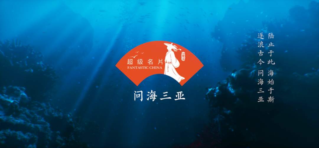 探索知识海洋，正版免费资料大全943的魅力与价值正版免费资料大全一2019