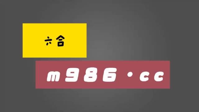 49码资料图库，解锁数字时代的秘密钥匙49码资料图库网