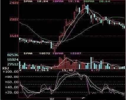 精准特马资料，揭秘最准确的预测方法与技巧特马资料最准2024开奖前一天0期