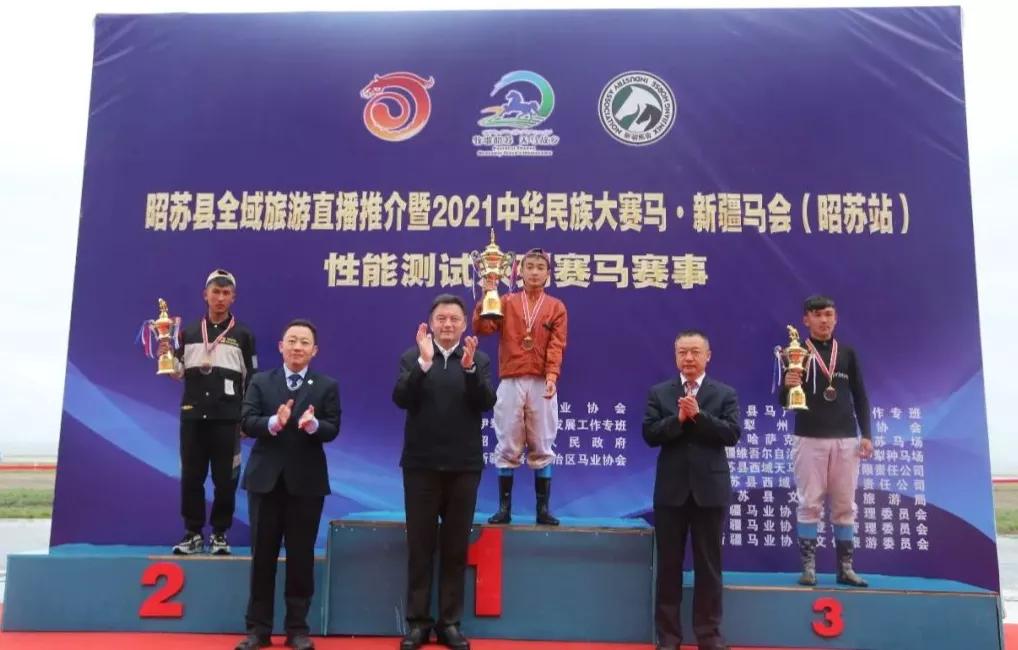 探索香港马会全年资料大全，历史、运营与影响香港2021年马会资料大全