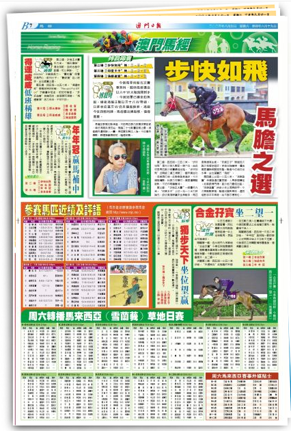澳门天天开彩46期，2013年回顾与未来展望2024澳门天天开好彩大全46期晚上十点左右公鸡鸣叫