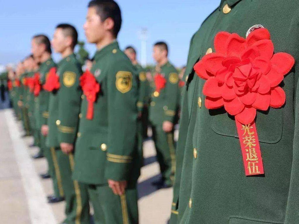 澳门天天开彩46期，揭秘2013年以来的历史与未来趋势2024澳门天天开好彩大全46期118-