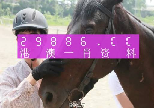 澳门一肖必中，今晚揭晓的神秘数字，理性与幸运交织的游戏之旅澳门一肖一码必中一肖今晚最佳答案解释