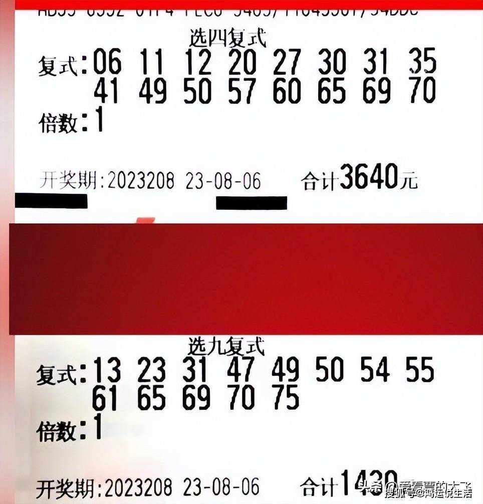 揭秘新澳2046今晚开奖结果，一场数字游戏的背后与影响新澳2024今晚开奖结果是什么