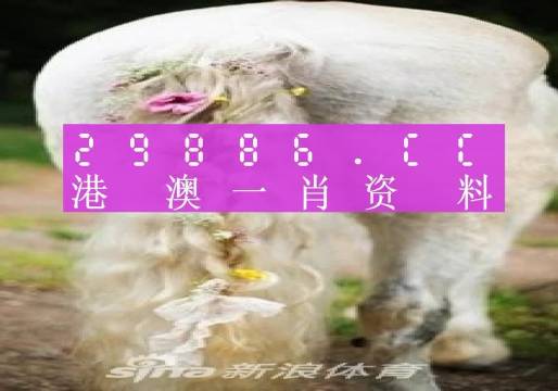 揭秘平特一肖公式，理性与科学的边界平特一肖公式永久性