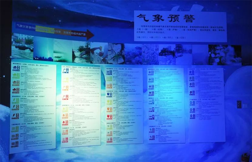 揭秘三肖选一，探寻精准投注的奥秘
