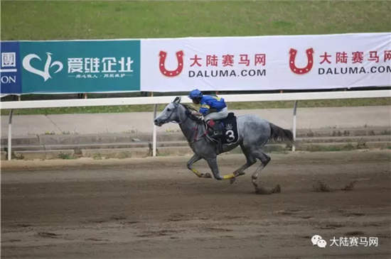 免费马会资料大全，解锁赛马的智慧与乐趣马会资料大全免费资料生