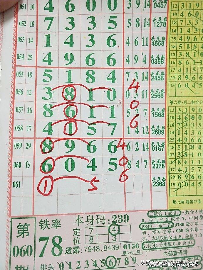 探索二肖3码的奥秘，数字背后的文化与娱乐1肖十2码