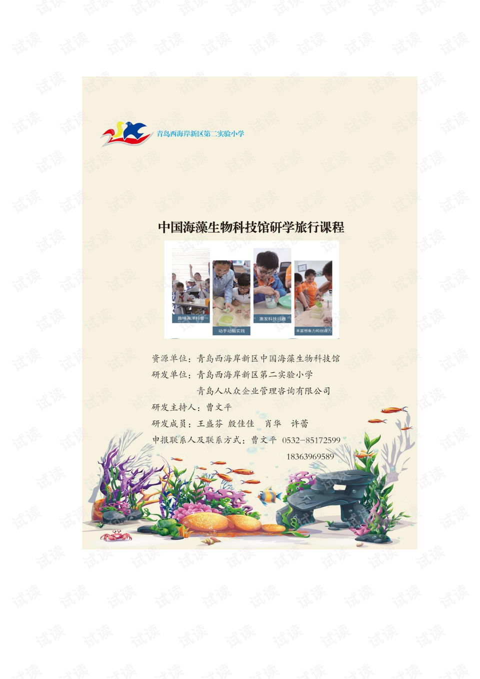 探索二肖3码的奥秘，解码数字背后的智慧与乐趣必中2肖二码