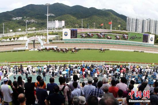 探索香港马会免费资料大全，解锁赛马的无限魅力