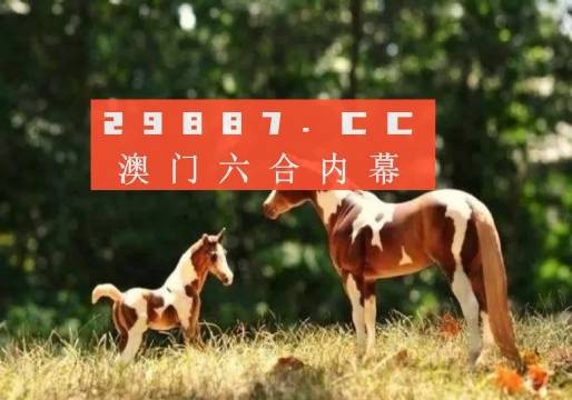 2023澳门精准正版资料免费