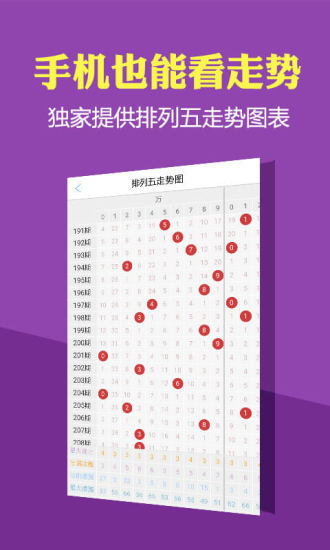 历史开奖记录，透视彩票背后的数字与故事历史开奖记录查询表