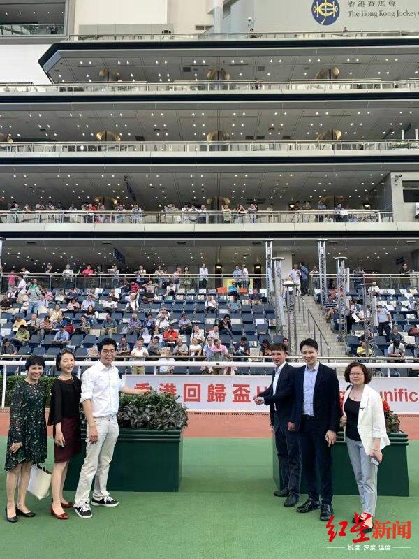 2019年香港马会资料大全，探索赛马的辉煌与魅力
