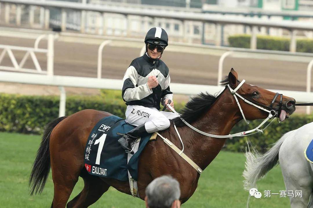 2019香港马会资料大全，免费资源与精彩回顾香港2021年马会资料大全