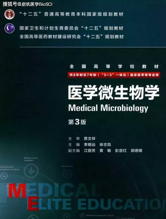 2036澳门资料免费大全下载，安全、合法与便捷的获取方式2023澳门资料免费大全下载刷牙漱口好医生指的是什么