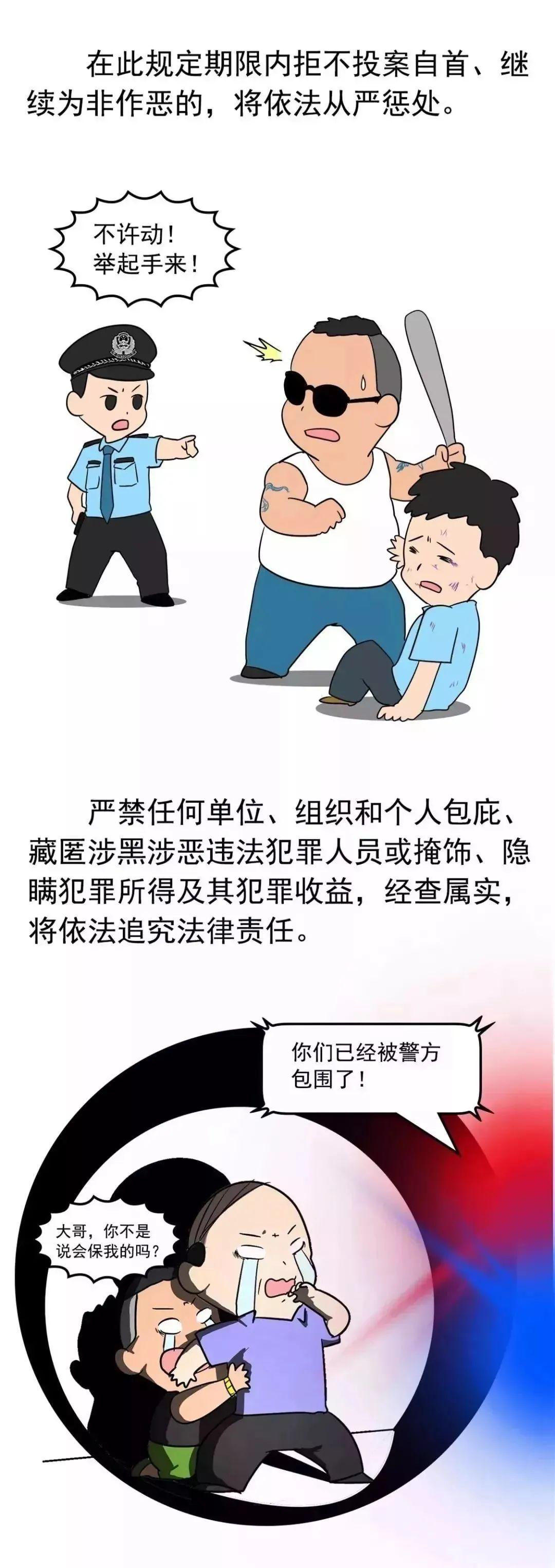 2019六开彩，一场数字游戏与公众幻想的交织2019六开彩开奖记录图