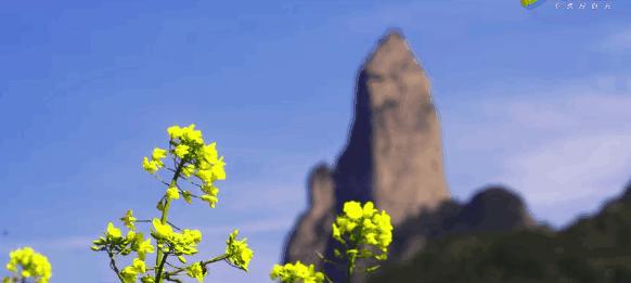 揭秘三期必出一现象，概率与现实的交织三期必出一期免费