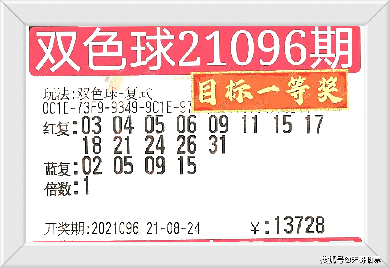 揭秘香港15期开奖结果，一场数字与概率的盛宴香港15期开奖结果记录查询表图片及价格