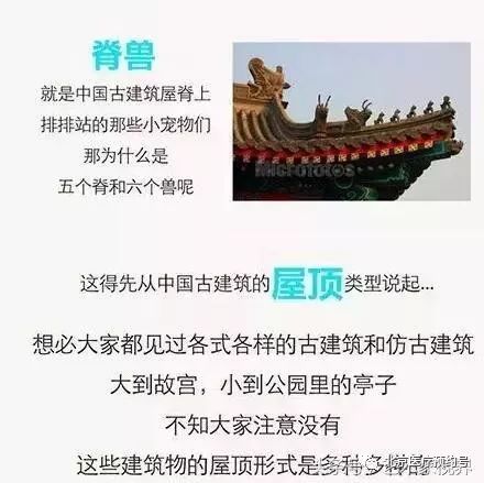 探寻二四六图片玄机图字308的奥秘二四六图片玄机资料文字