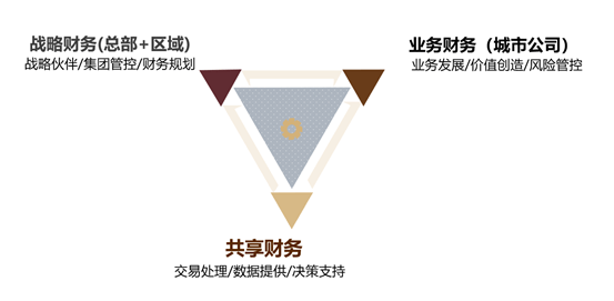 管家婆正版资料免费，破解财务管理的秘密武器