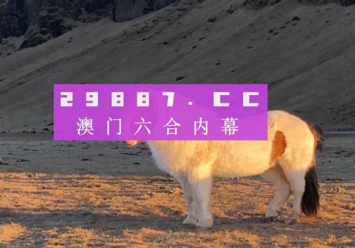 澳门彩，探寻今期开奖结果的背后故事今期澳门彩开奖结果六