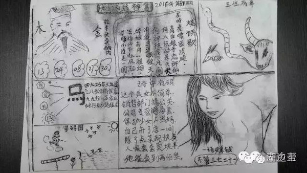 2043年，管家婆的马资料—未来赛场上的智慧之选管家婆24码期期准2017
