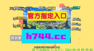 澳门精准资料，期期的精确洞察与解析新澳门精准正最精准