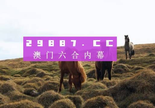 澳门近15期开奖记录，透视彩市风云与数字背后的故事澳门近15期开奖记录免费的