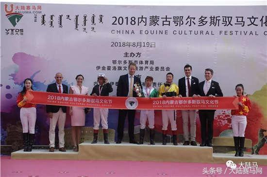 2019正版马会资料大全，揭秘赛马的魅力与策略正版马会精选资料大全+新闻