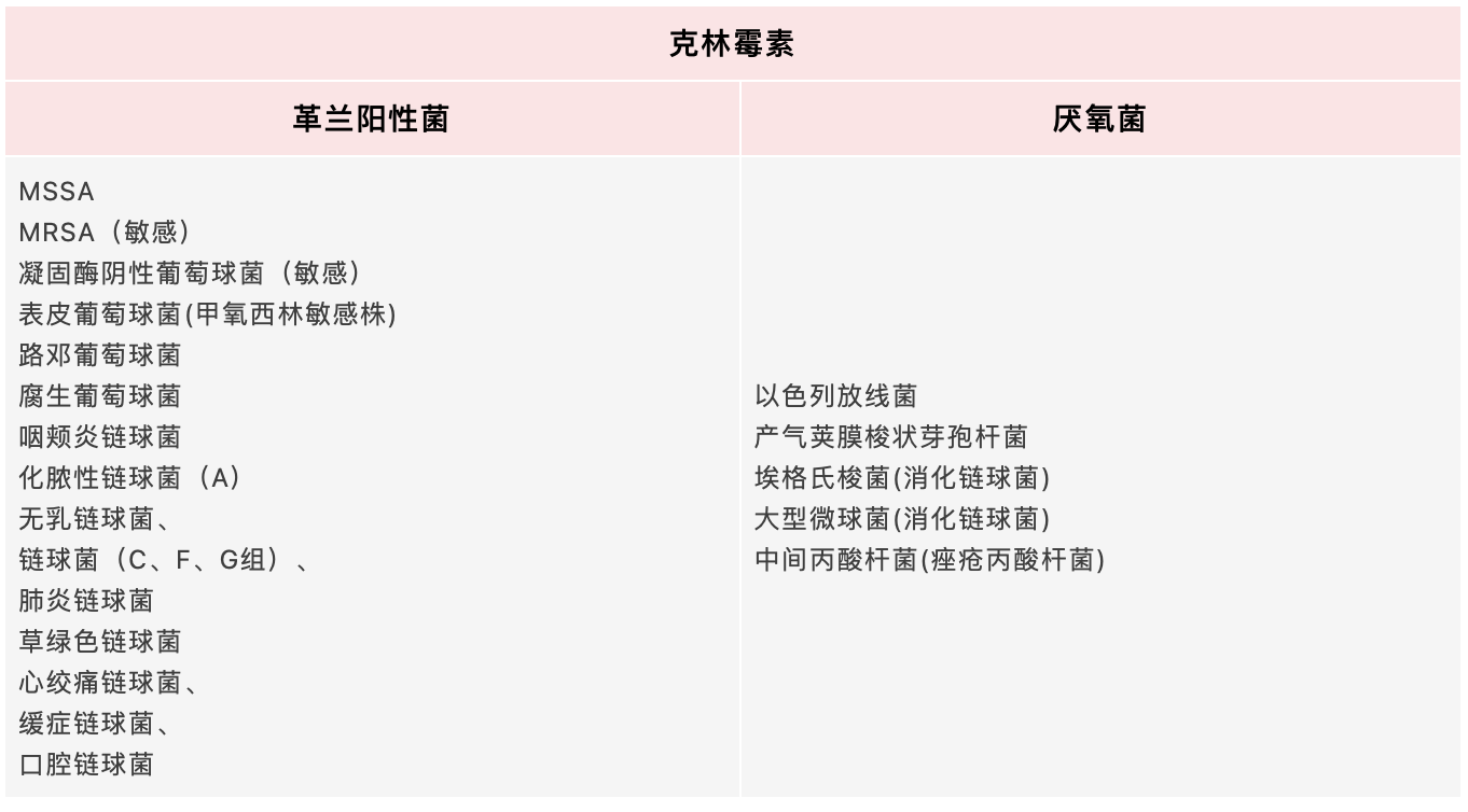 探索香港，全年资料免费大全指南香港全年免费资料2021