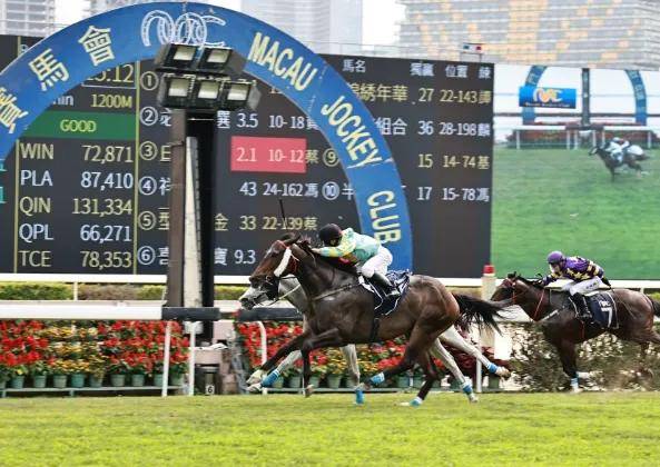 澳门特马2019年回顾与展望澳门特马开奖结果2020 开奖记录_